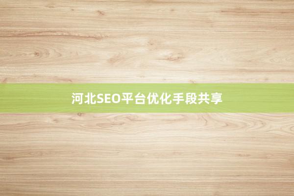河北SEO平台优化手段共享