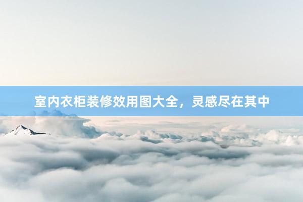 室内衣柜装修效用图大全，灵感尽在其中