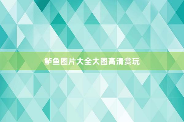 鲈鱼图片大全大图高清赏玩