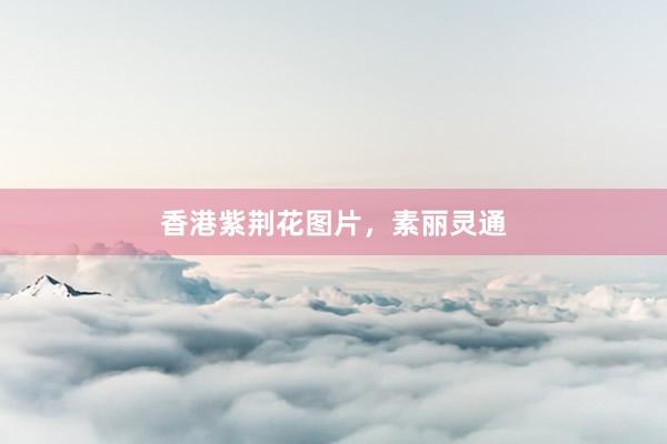 香港紫荆花图片，素丽灵通