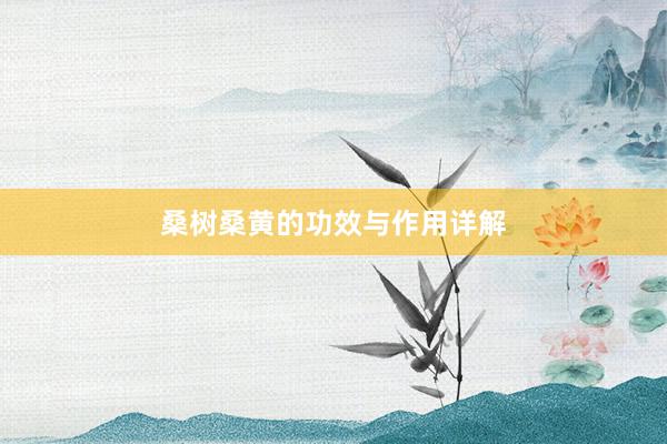 桑树桑黄的功效与作用详解